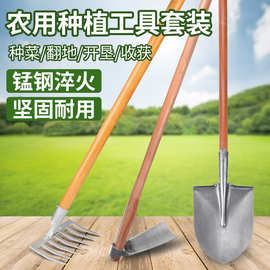 家用铁锹种菜锄头专用工具套装耙子松土翻地挖土神器农用农具大全