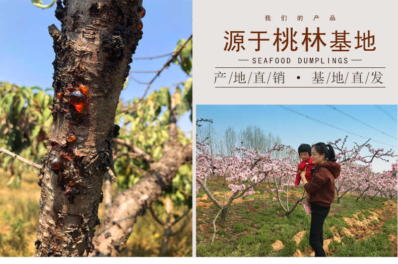 桃胶一链接-阿里更新02.jpg