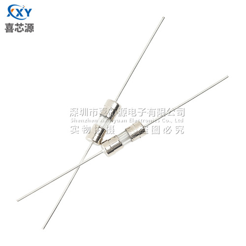 Source factory 3.6x10mm double cap glass fuse F3A 250V fast break with lead foot fuse 