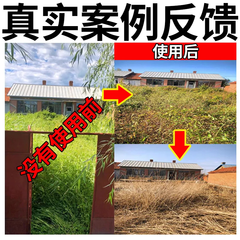 微信图片_202601261740325