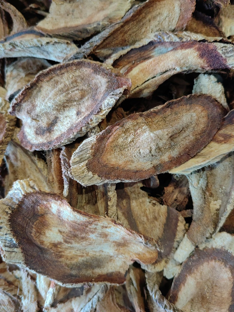 Red Kwao Krua Root (Pueraria mirifica) — Thai Botanical for Wine & Tea Infusions in use