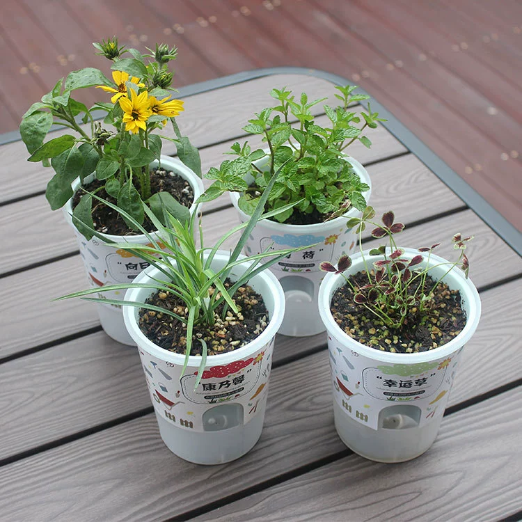 [跨境爆款罐小吸迷你植物盆栽幼儿园儿童DIY种植草头植物发芽盆栽]
