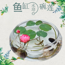 ˮ�ɻ�������~��ֲ�ﻨƿ˯ɏ�����̖ˮ��ˮ����ɏ����͸��ˮ�B