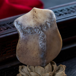 ¹�������ְѼ�¹�ǵ��������L����DIY��������ƬF؛���l