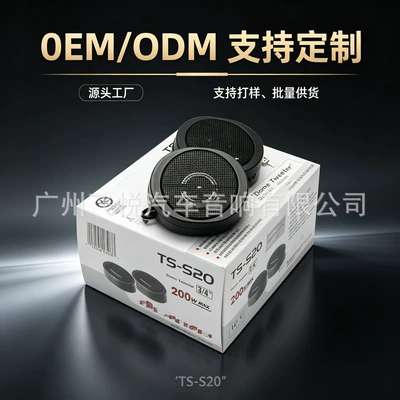 Wholesale car audio modification speaker TS-S20 2.5inch high-pitch speaker car tweeter titanium diaphragm tweeter