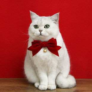 Pet Cat Dog Birthday New Year Velvet Big Bow Collar Dreamy Bell Bow Tie Adjustable Neck Chain