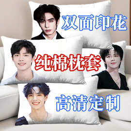 肖战明星周边纯棉枕套刘宇宁全棉王一博单人枕芯套宋威龙48*74cm