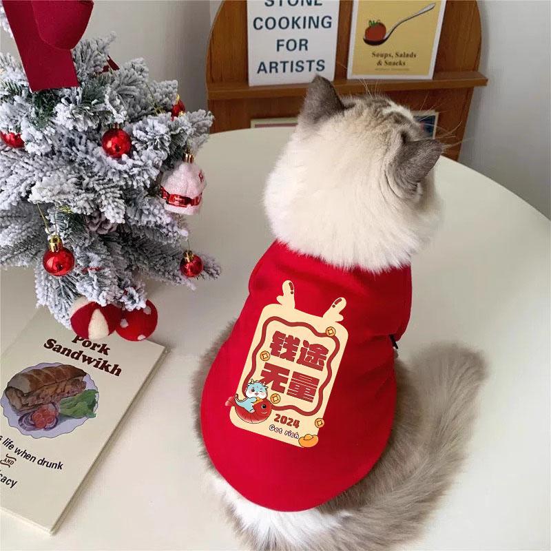 Ropa de felino de peluche otoño y invierno mascotas de Navidad de dos patas suéter gato azul gato muñecas de tela corta gato anti-pillo gatito gatito