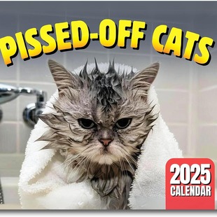 2025 Angry Cat Calendar Peed-Off Cats Calendar Office Desktop Decoration Calendar