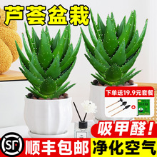 �J�C�����҃ȳ���ȩ�����՚⻨�ܾGֲ���������ƶ���ֲ���ļ����B