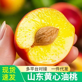 块茎类;其他水果;苹果