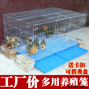 鸡笼子家用大号养殖笼小鸡笼子养鸡笼子育雏笼雏鸡笼大型鸡窝设备-阿里巴巴
