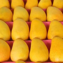 ����С̨�râ���������rˮ������2/5/10����]�Ǽt����Сâ�����l