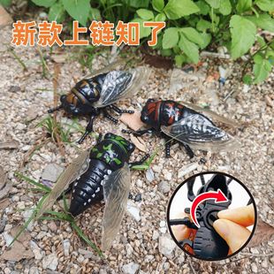 Cross-Border Insect Driving Simulation Golden Cicada Creative Novelty Funny Small Toy Model Ornament Simulation Cicada Toy