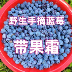 大興安嶺野生手摘みブルーベリー帯果霜後期成熟果急凍果物順豊生鮮包郵便