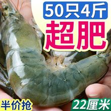 青虾【活动】青岛大虾新鲜海虾冷冻鲜活大海鲜一整箱少冰批发水产