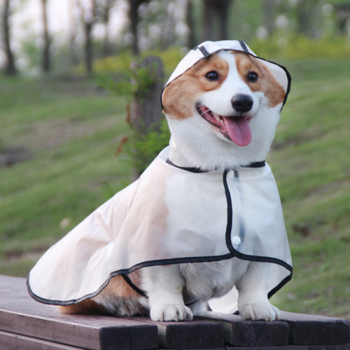 Pet it tpu puppy raincoat poncho teddy dogfight Shiba Inu corgi pet transparent raincoat small dog
