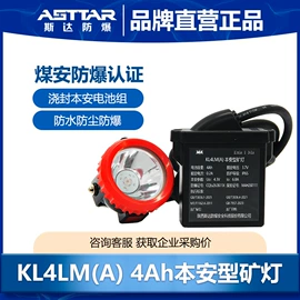 隔绝式压缩氧气自救器;防毒面具;气体检测仪