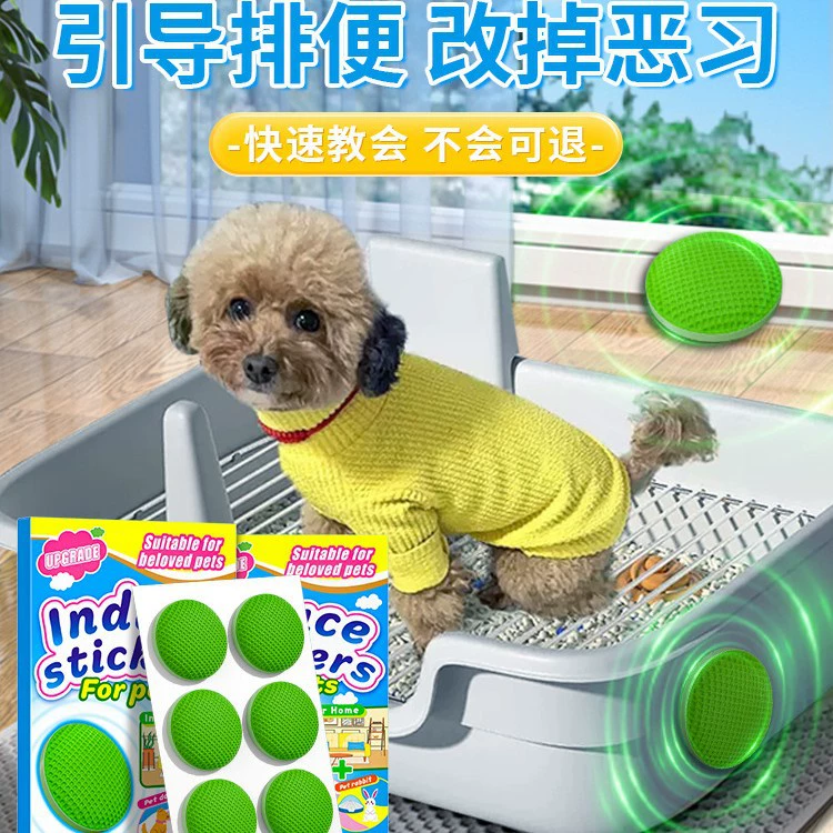 Средство для приучения собак к туалету, предотвращающее случайное мочеиспускание собак, руководство по приучению собак к туалету.