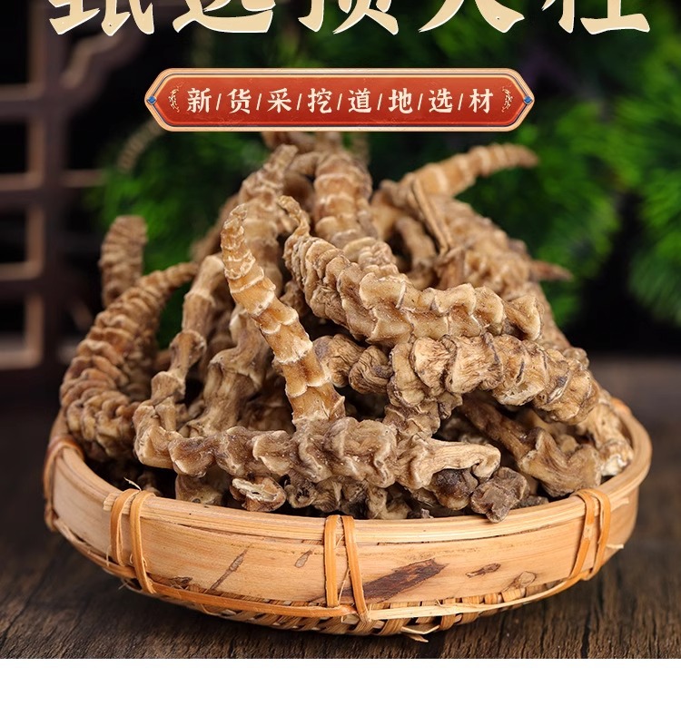 Ding Tian Zhu Dried Herbal Tea 100g Jar Sun Dried Chinese Botanical for Daily Infusion specifications