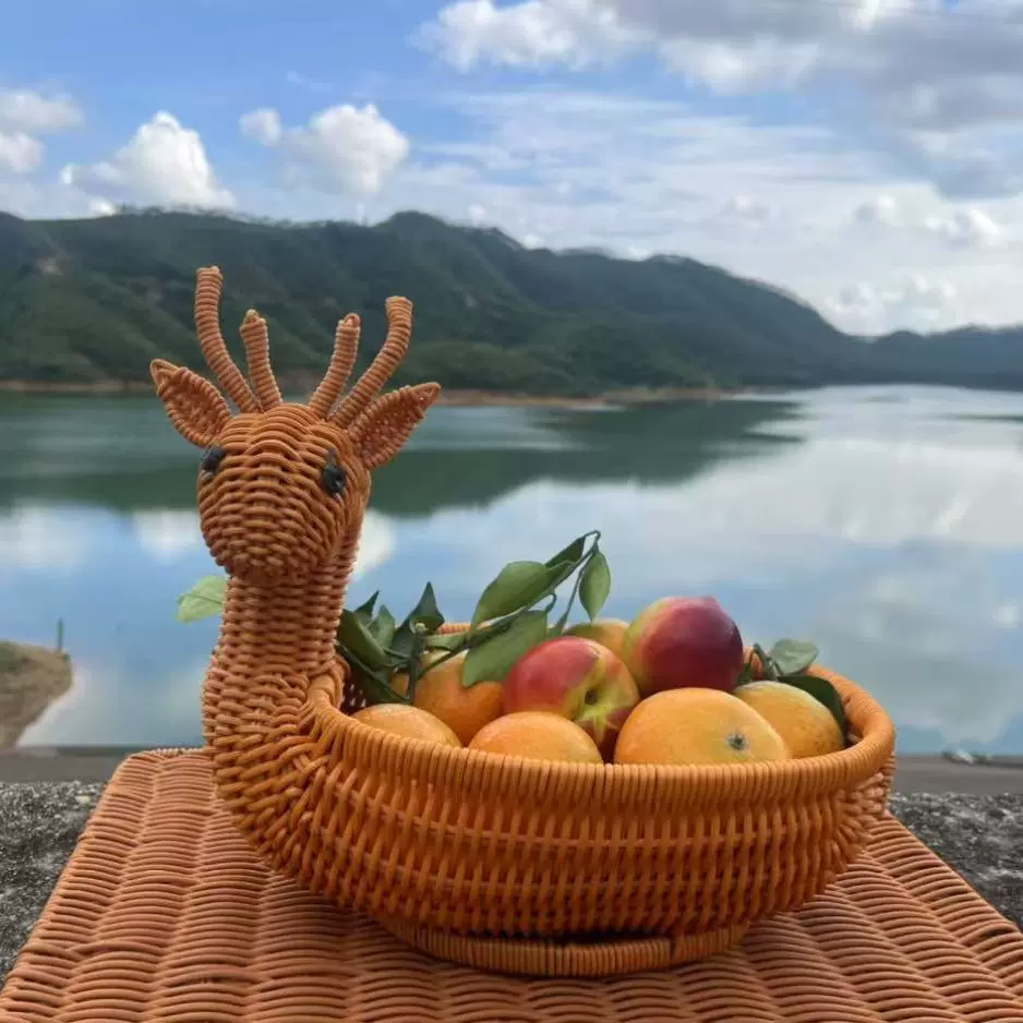 水果编织坚果零食果盘馒头收纳筐仿藤收纳篮动物仿创意筐鸡鸭藤艺
