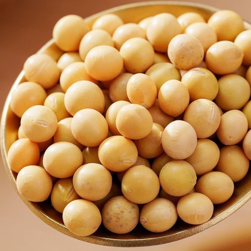 Northeast Soybeans 500g Fresh Farm Goods, Plump Beans, Multiple Sizes for Making Soy Milk