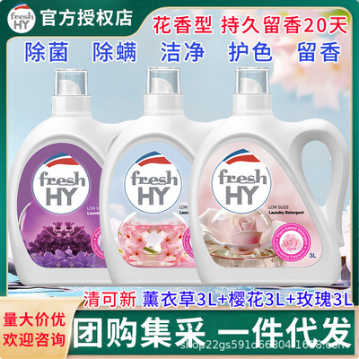 清可新洗衣液3L*3瓶18斤玫瑰櫻花薰衣草批發團購集采壹件代發