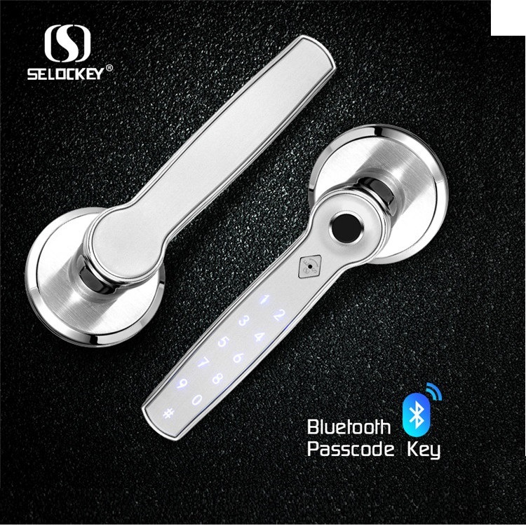 海外仓代发TTlock智能门锁密码锁球形分体锁室内静音指纹锁