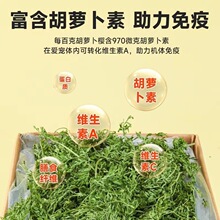 烘干胡萝卜樱兔兔子干草饲料草料龙猫豚鼠牧草粮胡萝卜缨叶子干叶