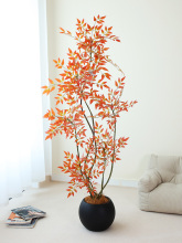 �����������҃����ԼپGֲ�b�����ؔ[���͏d�p�ݷ���Gɫֲ��