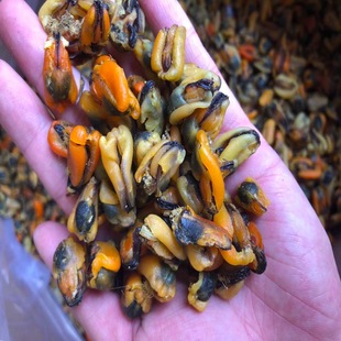 ���˸���ؐ���rˮ�a��؛ʳ���r�aƷ���aƷ���lʳ�ĸ��~����