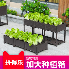 4022����ľ�y��@ˇ�Nֲ�� ����M��ʽ���䷽�����ϻ���S�����l