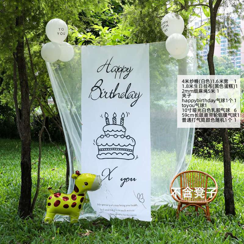 小红薯同款户外生日场景氛围布置装饰网纱背景挂布6周岁男孩拍照|undefined