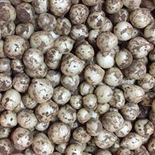 �Ĵ����r��ˊС����F�[�����С���^�Ĵ����^Ұ�[�^ޯ��1-5��