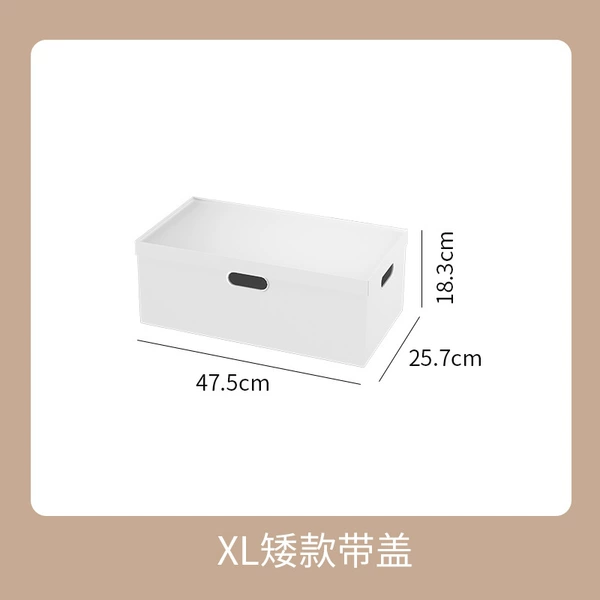 XL low box+lid