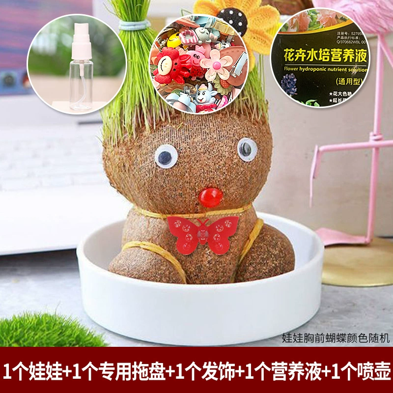 [批发草头娃娃浇水头上长草人绿植长头发儿童好养种草幼儿园桌面小]