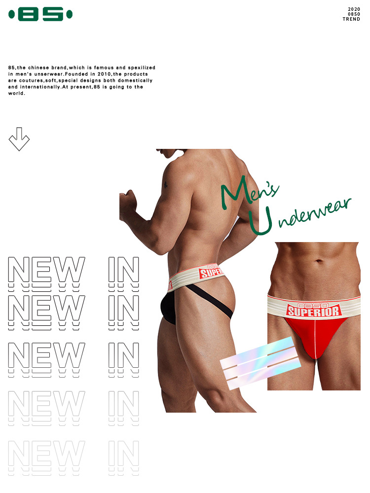 Men's Fashion Underwear 1
