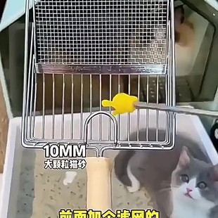 Household Pet Metal Stainless Steel Cat Sand Shovel Mine Sand Large Size Fine Hole 2-in -1 Chicken Cat Shovel Dung Pet Supplies