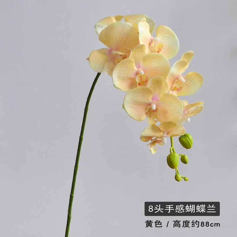 8 개의 노란색 머리