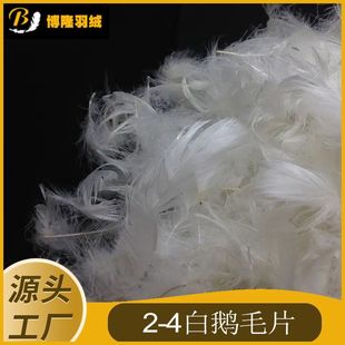 2-4ˮϴ���ZëƬ ����ɳ�l��о���|��ë��q�ޏS���������ɶ�