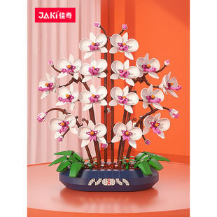 JAKI����ѩ������m�eľ�����ԃ�ͯƴ�b���Ů�����նY��Ů���[��