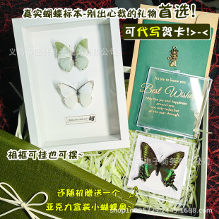 Real butterfly specimens have spread their wings gift box gifts insect beetles kindergarten teaching students creative birthday gifts