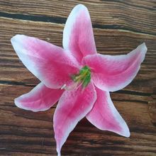 Ʒٺϼٻζٺ϶Ɣ[O͏db廨ֹ