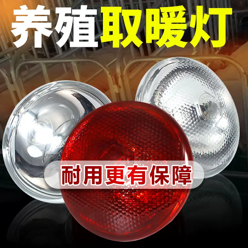 猪用保温灯泡取暖灯泡养殖取暖灯鸡鸭鹅取暖保温烤灯畜牧养殖专用