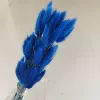 Rabbit blue rabbit tails around 60 pieces