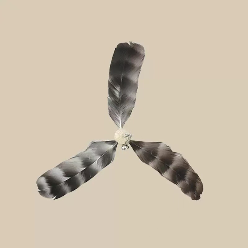 1 rotating replacement head