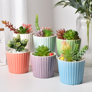 մɼҾӈ@ˇ豱Wins⿨ͨ⻨RԽMl辰