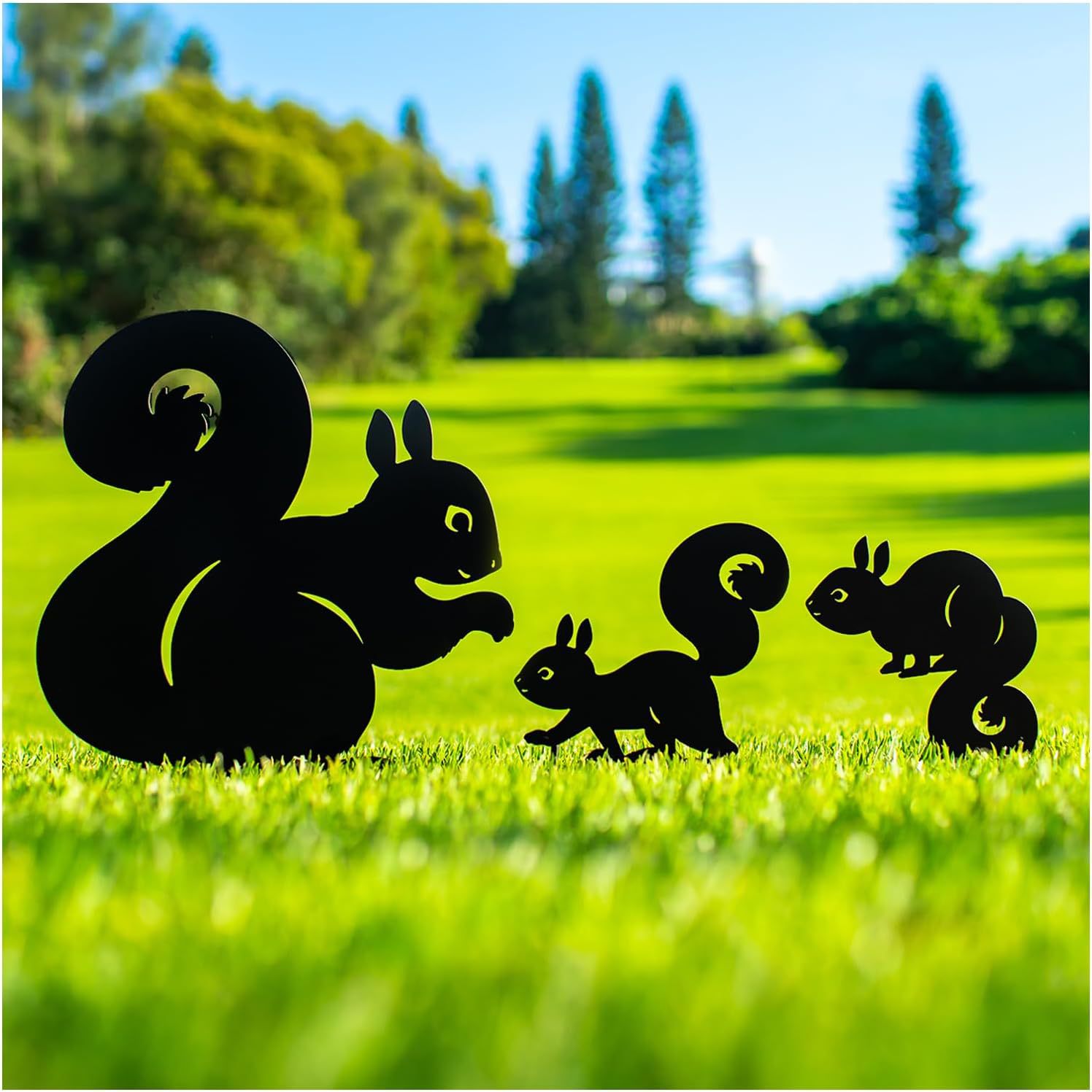 다람쥐 3종 세트