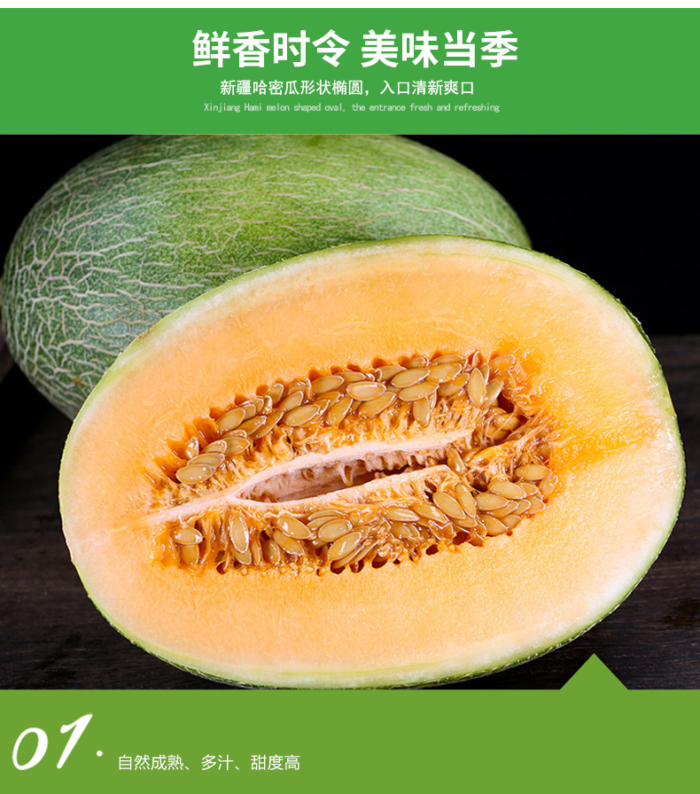 哈密瓜2_07.jpg
