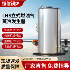 2トン3トン縦型燃料ガス蒸気発生器全自動蒸気発生器洗濯染色蒸気発生器